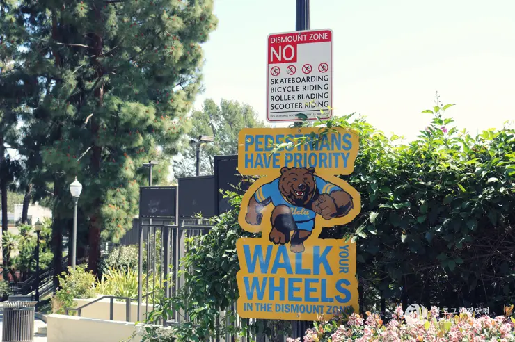 미국 대학교 탐방, 명문 캘리포니아 주립대학교 UCLA