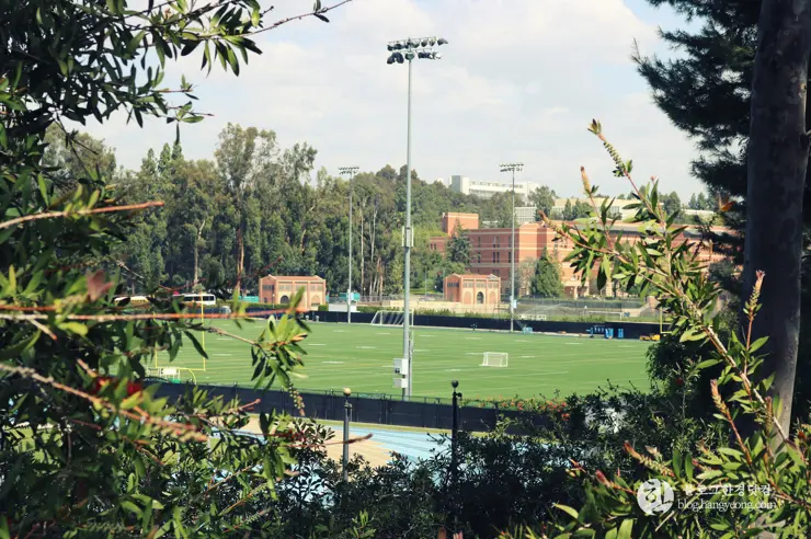 미국 대학교 탐방, 명문 캘리포니아 주립대학교 UCLA