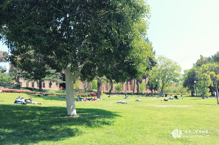 미국 대학교 탐방, 명문 캘리포니아 주립대학교 UCLA