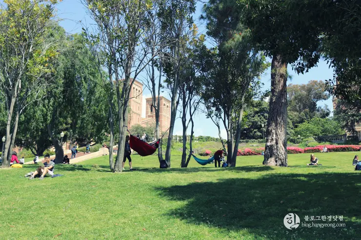 미국 대학교 탐방, 명문 캘리포니아 주립대학교 UCLA