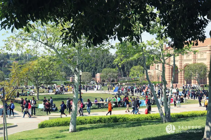 미국 대학교 탐방, 명문 캘리포니아 주립대학교 UCLA