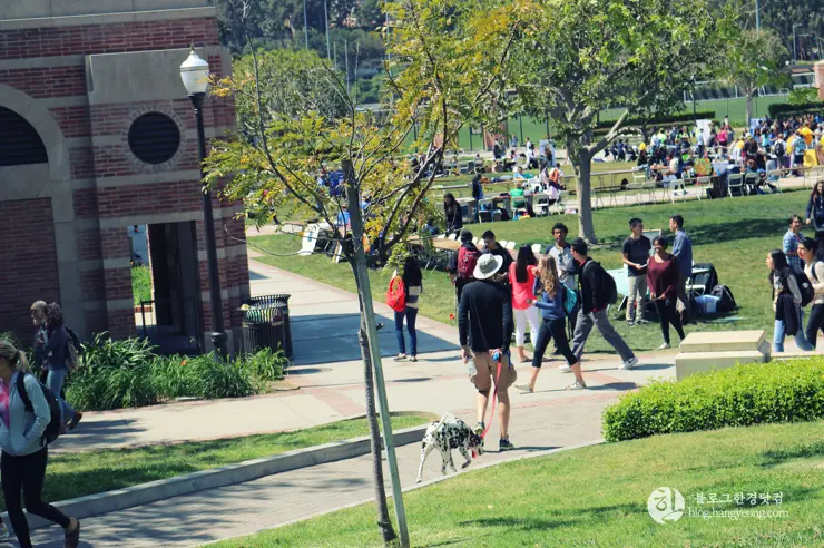 미국 대학교 탐방, 명문 캘리포니아 주립대학교 UCLA