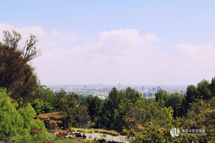 다시 찾은 비버리 힐즈에 있는 그레이스톤 맨션