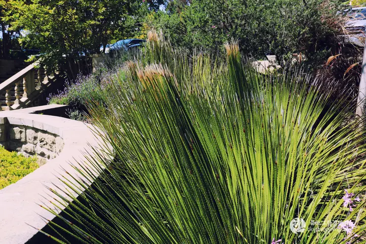 다시 찾은 비버리 힐즈에 있는 그레이스톤 맨션