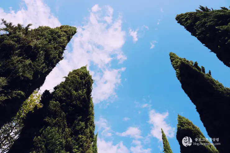 다시 찾은 비버리 힐즈에 있는 그레이스톤 맨션