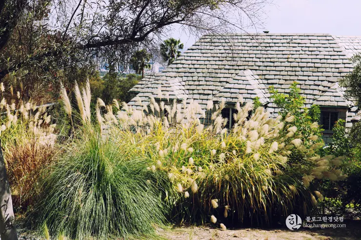 다시 찾은 비버리 힐즈에 있는 그레이스톤 맨션