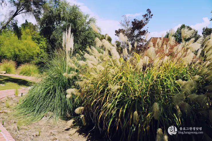 다시 찾은 비버리 힐즈에 있는 그레이스톤 맨션