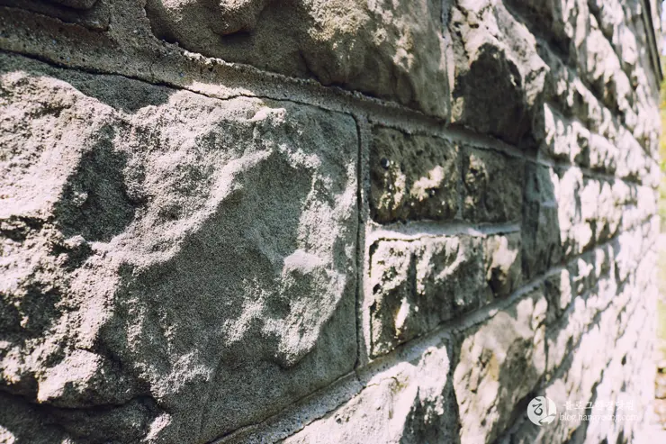 다시 찾은 비버리 힐즈에 있는 그레이스톤 맨션