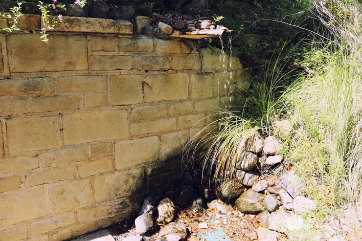 다시 찾은 비버리 힐즈에 있는 그레이스톤 맨션