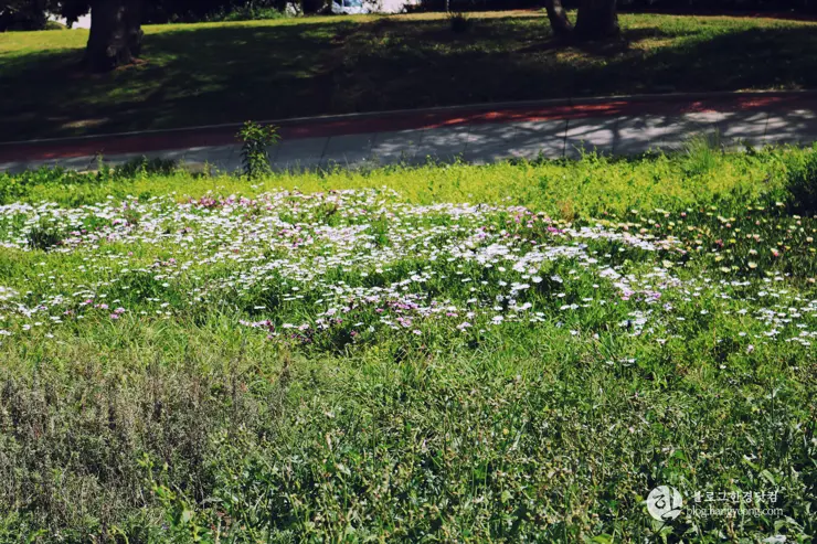 다시 찾은 비버리 힐즈에 있는 그레이스톤 맨션