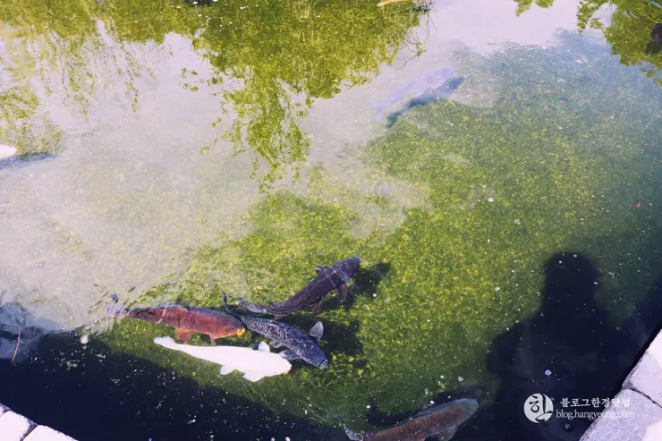 다시 찾은 비버리 힐즈에 있는 그레이스톤 맨션