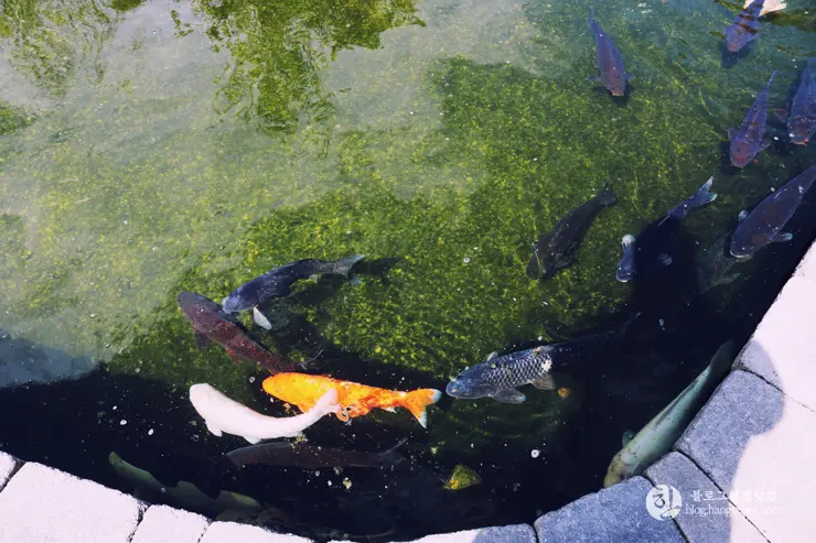 다시 찾은 비버리 힐즈에 있는 그레이스톤 맨션