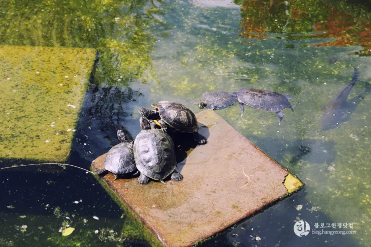 다시 찾은 비버리 힐즈에 있는 그레이스톤 맨션