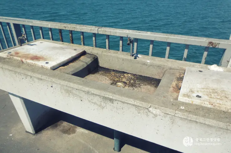 롱비치, 벨몬트 피어(Belmont Pier) 에서 낚시를 즐기다.