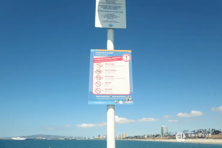 롱비치, 벨몬트 피어(Belmont Pier) 에서 낚시를 즐기다.