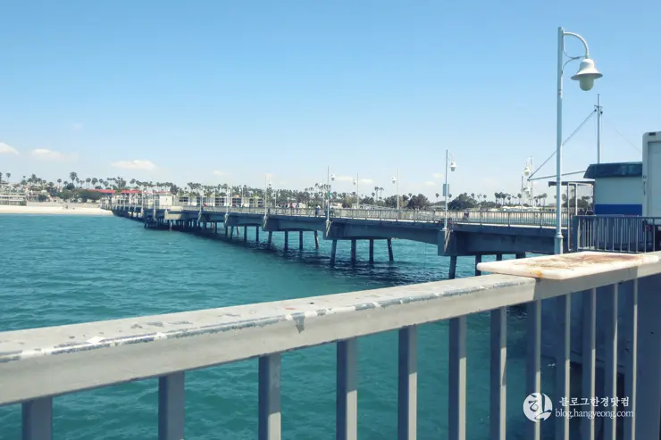 롱비치, 벨몬트 피어(Belmont Pier) 에서 낚시를 즐기다.