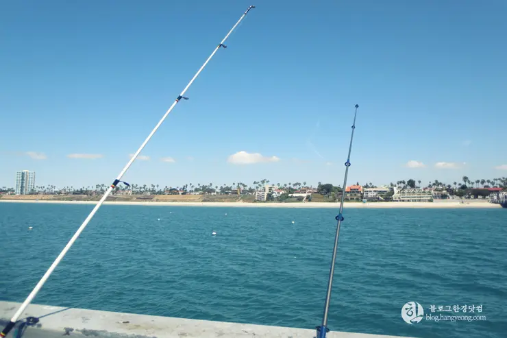 롱비치, 벨몬트 피어(Belmont Pier) 에서 낚시를 즐기다.