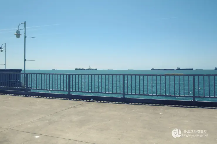 롱비치, 벨몬트 피어(Belmont Pier) 에서 낚시를 즐기다.