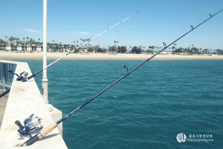롱비치, 벨몬트 피어(Belmont Pier) 에서 낚시를 즐기다.