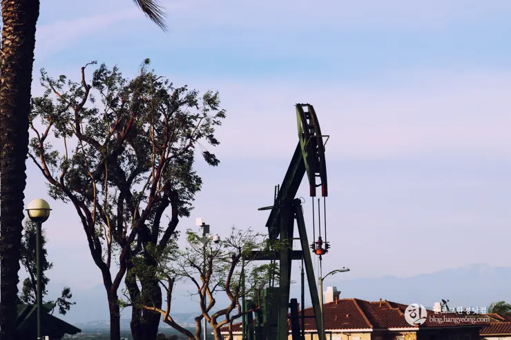 서던캘리포니아 일대를 한 눈에 내려다 볼 수 있는 힐탑공원(Hilltop Park)