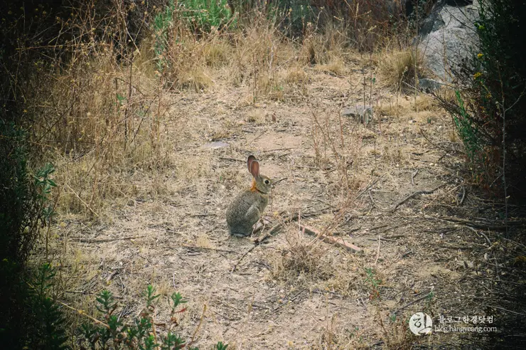 뉴포트 만 자연생태보호구역, Upper Newport Bay Nature Preserve Interpretive Center