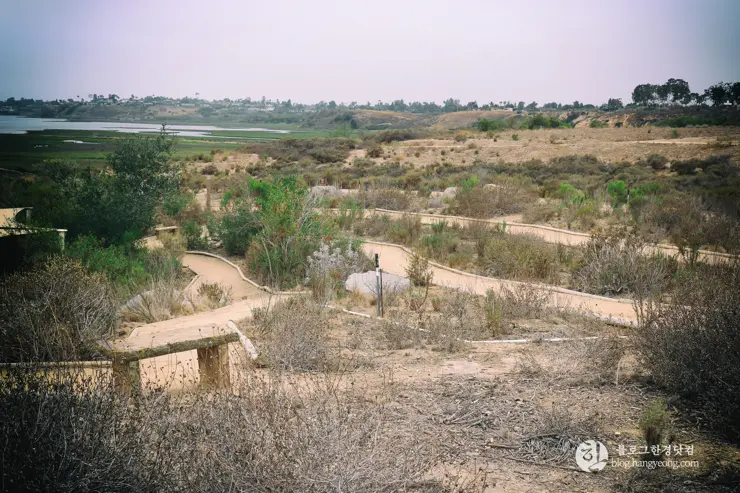 뉴포트 만 자연생태보호구역, Upper Newport Bay Nature Preserve Interpretive Center