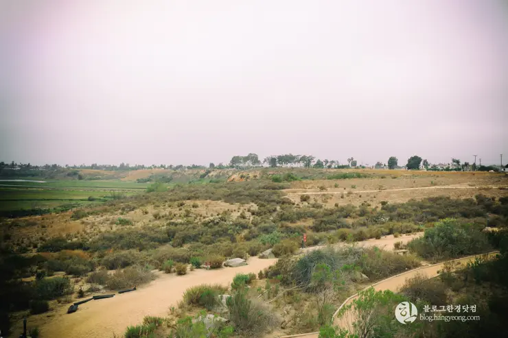 뉴포트 만 자연생태보호구역, Upper Newport Bay Nature Preserve Interpretive Center