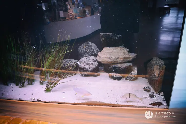 뉴포트 만 자연생태보호구역, Upper Newport Bay Nature Preserve Interpretive Center