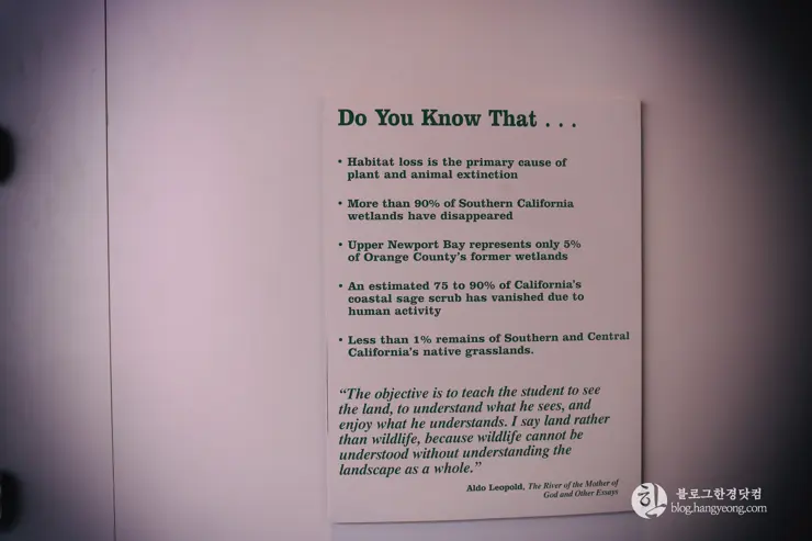 뉴포트 만 자연생태보호구역, Upper Newport Bay Nature Preserve Interpretive Center