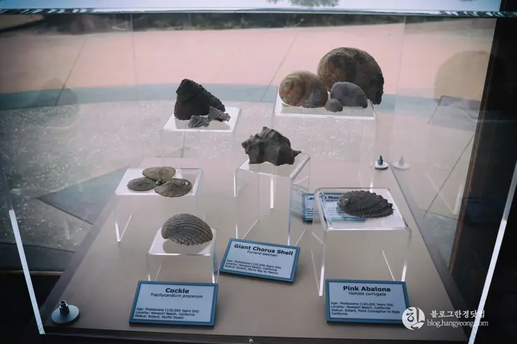 뉴포트 만 자연생태보호구역, Upper Newport Bay Nature Preserve Interpretive Center