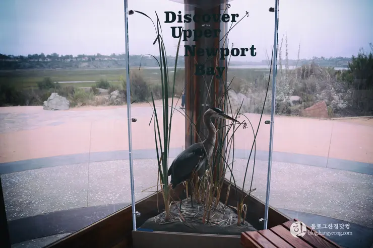 뉴포트 만 자연생태보호구역, Upper Newport Bay Nature Preserve Interpretive Center
