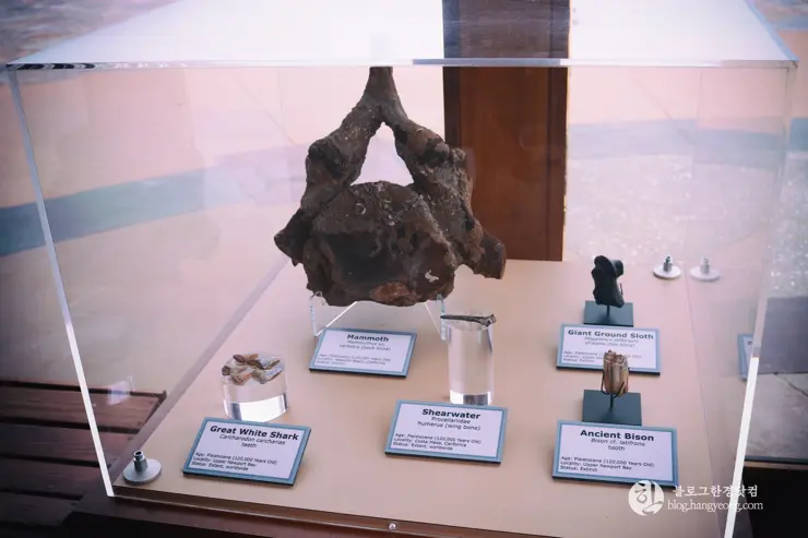 뉴포트 만 자연생태보호구역, Upper Newport Bay Nature Preserve Interpretive Center