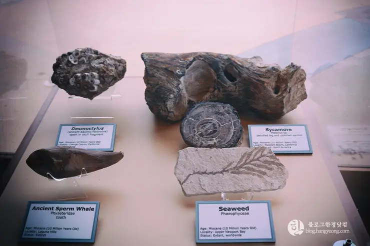 뉴포트 만 자연생태보호구역, Upper Newport Bay Nature Preserve Interpretive Center