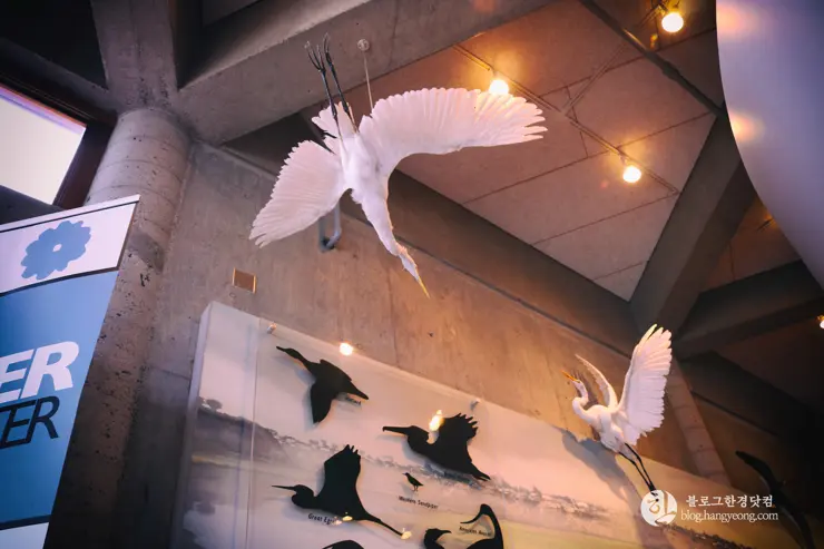 뉴포트 만 자연생태보호구역, Upper Newport Bay Nature Preserve Interpretive Center