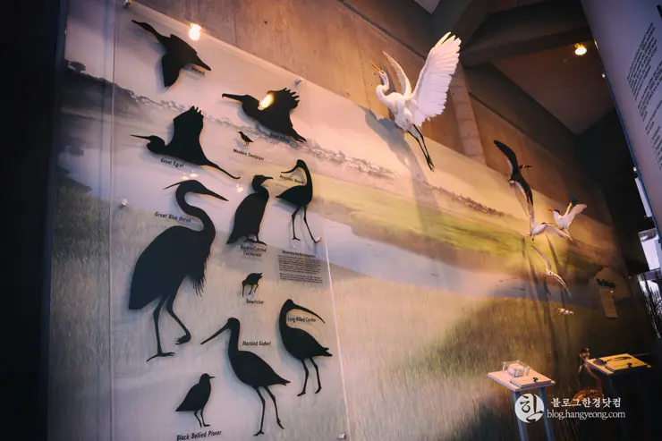 뉴포트 만 자연생태보호구역, Upper Newport Bay Nature Preserve Interpretive Center