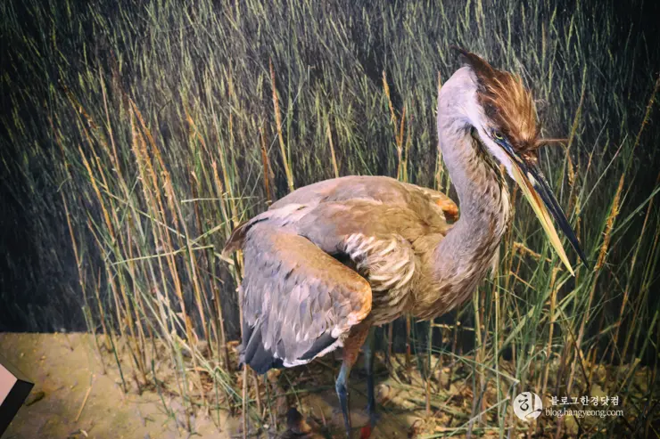 뉴포트 만 자연생태보호구역, Upper Newport Bay Nature Preserve Interpretive Center