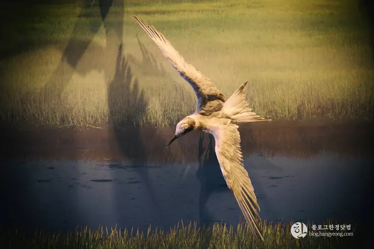 뉴포트 만 자연생태보호구역, Upper Newport Bay Nature Preserve Interpretive Center