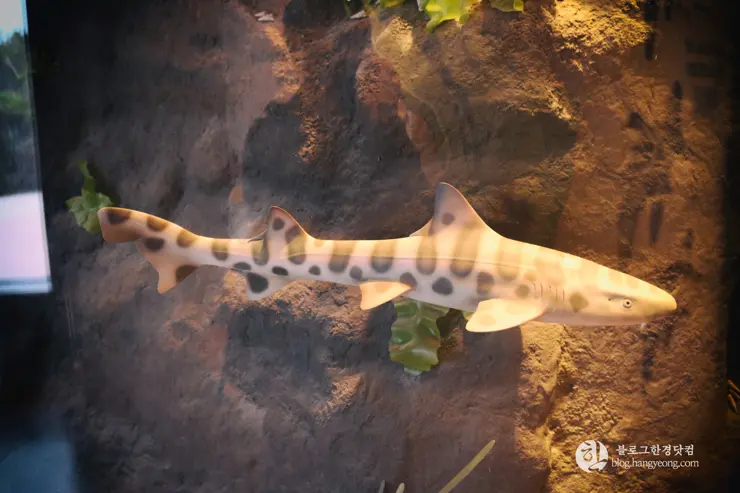 뉴포트 만 자연생태보호구역, Upper Newport Bay Nature Preserve Interpretive Center