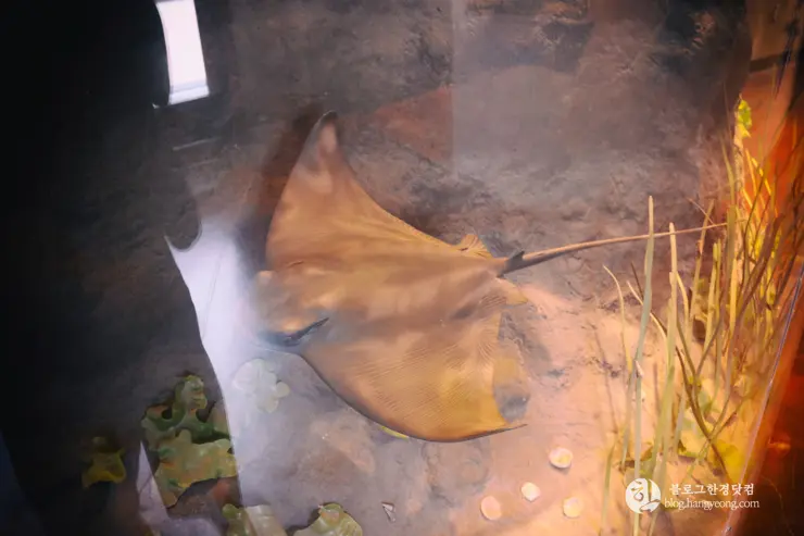 뉴포트 만 자연생태보호구역, Upper Newport Bay Nature Preserve Interpretive Center