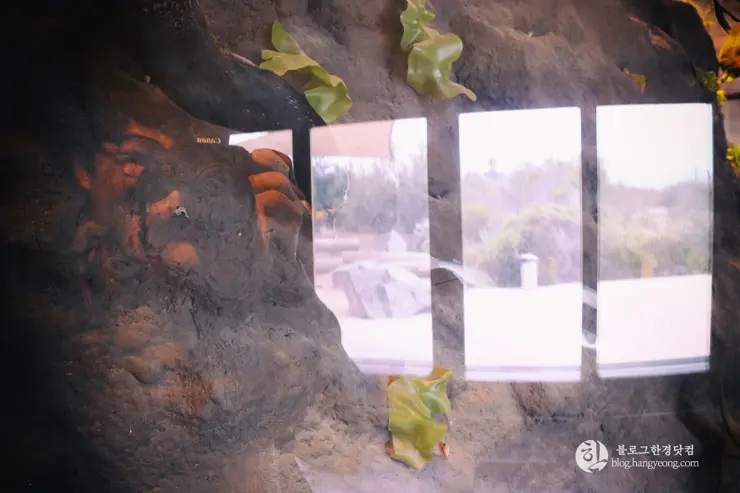 뉴포트 만 자연생태보호구역, Upper Newport Bay Nature Preserve Interpretive Center