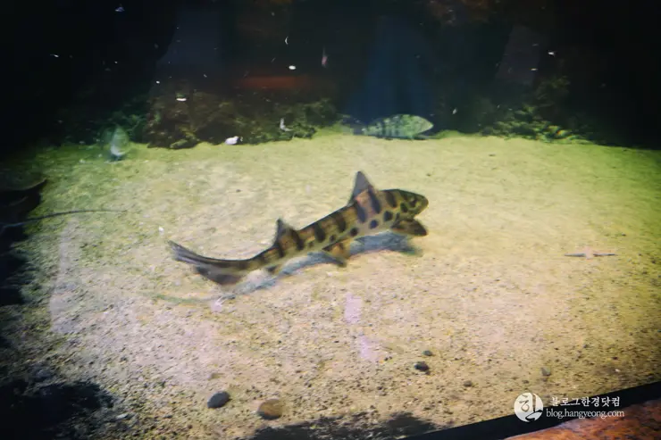 뉴포트 만 자연생태보호구역, Upper Newport Bay Nature Preserve Interpretive Center