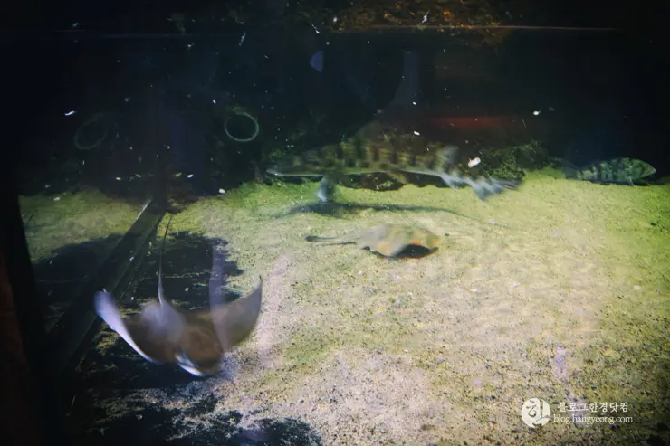 뉴포트 만 자연생태보호구역, Upper Newport Bay Nature Preserve Interpretive Center