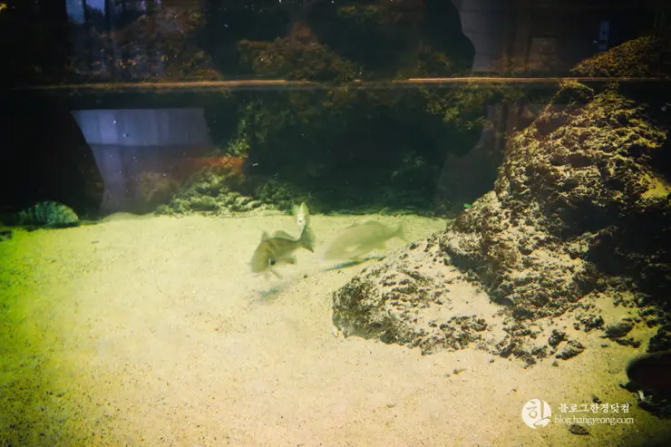 뉴포트 만 자연생태보호구역, Upper Newport Bay Nature Preserve Interpretive Center