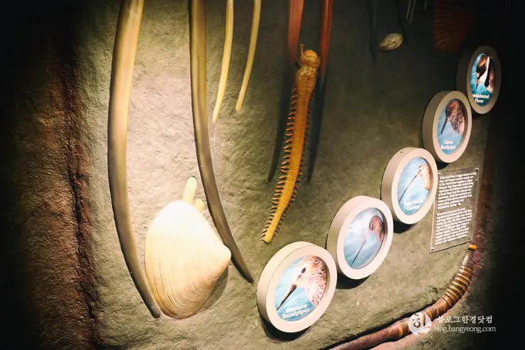 뉴포트 만 자연생태보호구역, Upper Newport Bay Nature Preserve Interpretive Center