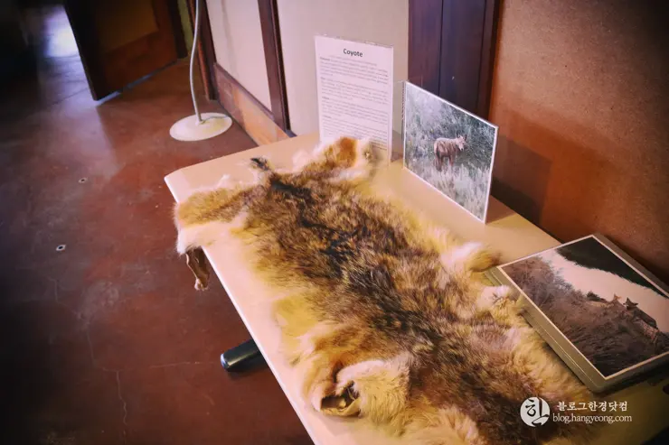 뉴포트 만 자연생태보호구역, Upper Newport Bay Nature Preserve Interpretive Center