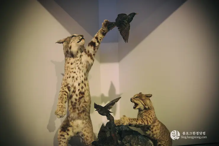 뉴포트 만 자연생태보호구역, Upper Newport Bay Nature Preserve Interpretive Center