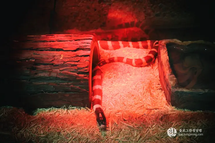 뉴포트 만 자연생태보호구역, Upper Newport Bay Nature Preserve Interpretive Center