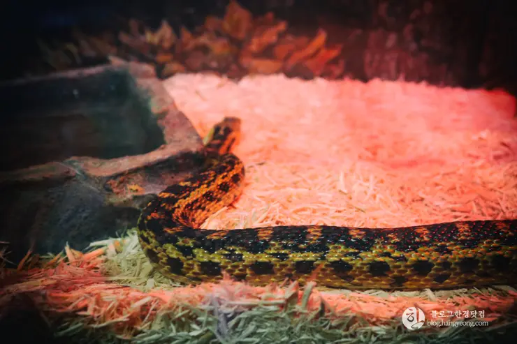 뉴포트 만 자연생태보호구역, Upper Newport Bay Nature Preserve Interpretive Center