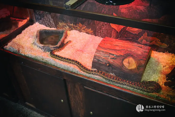 뉴포트 만 자연생태보호구역, Upper Newport Bay Nature Preserve Interpretive Center