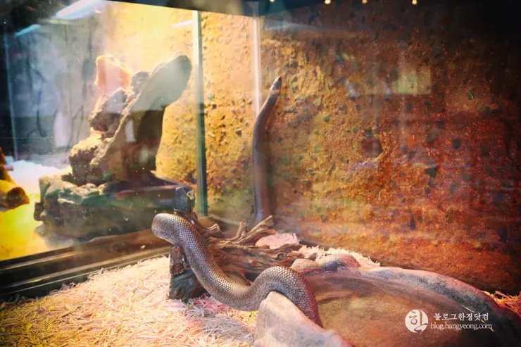 뉴포트 만 자연생태보호구역, Upper Newport Bay Nature Preserve Interpretive Center